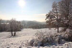 Ferienhaus Sonne, Harz & Sterne