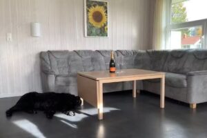 Ferienhaus Sprottenhuus