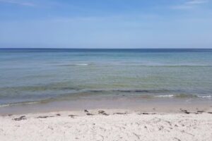 Ferienhaus Steckowski