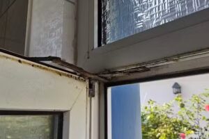 Ferienhaus Strandflieder