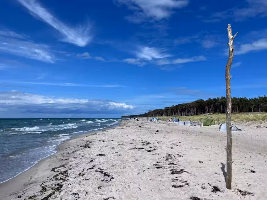 Ferienhaus Tannenwieck – Mitte & Meer Ferien an der Ostsee