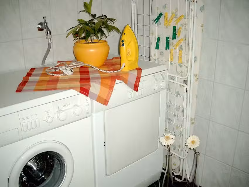 Ferienhaus Thale in Dankern