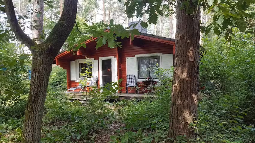 Ferienhaus Waldblick – Hitzacker (Elbe)- Waldbaden