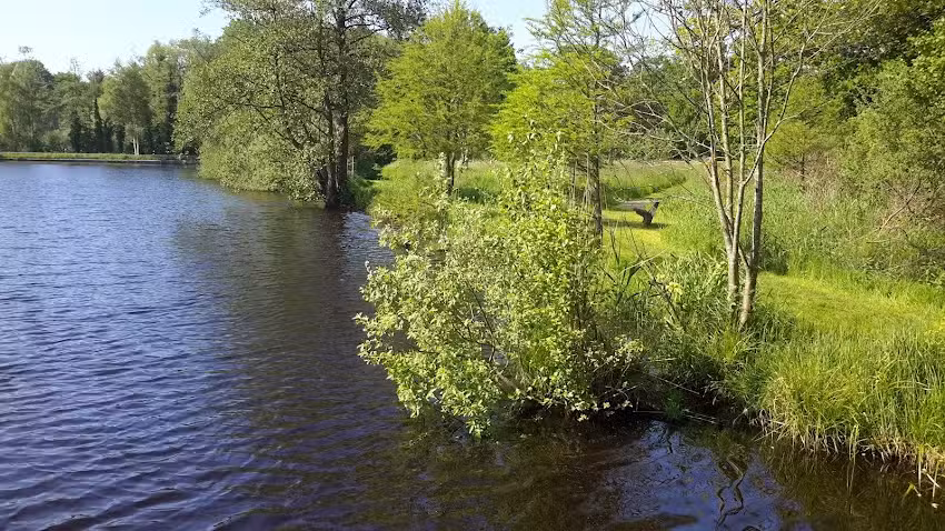 Ferienhaus Waldhaus Sunde
