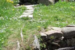 Ferienhaus Waldhäuser