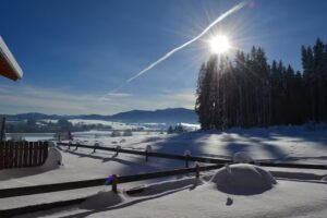 Ferienhaus Waldromantik mit Sauna Via Claudia 75