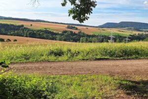 Ferienhaus Waldweiher