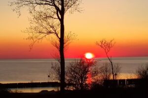 Ferienhaus Windrose Rügen