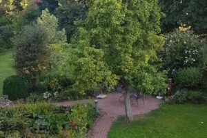 Ferienhäuser am Dümmer-See Michaela Köhr-Eickhoff