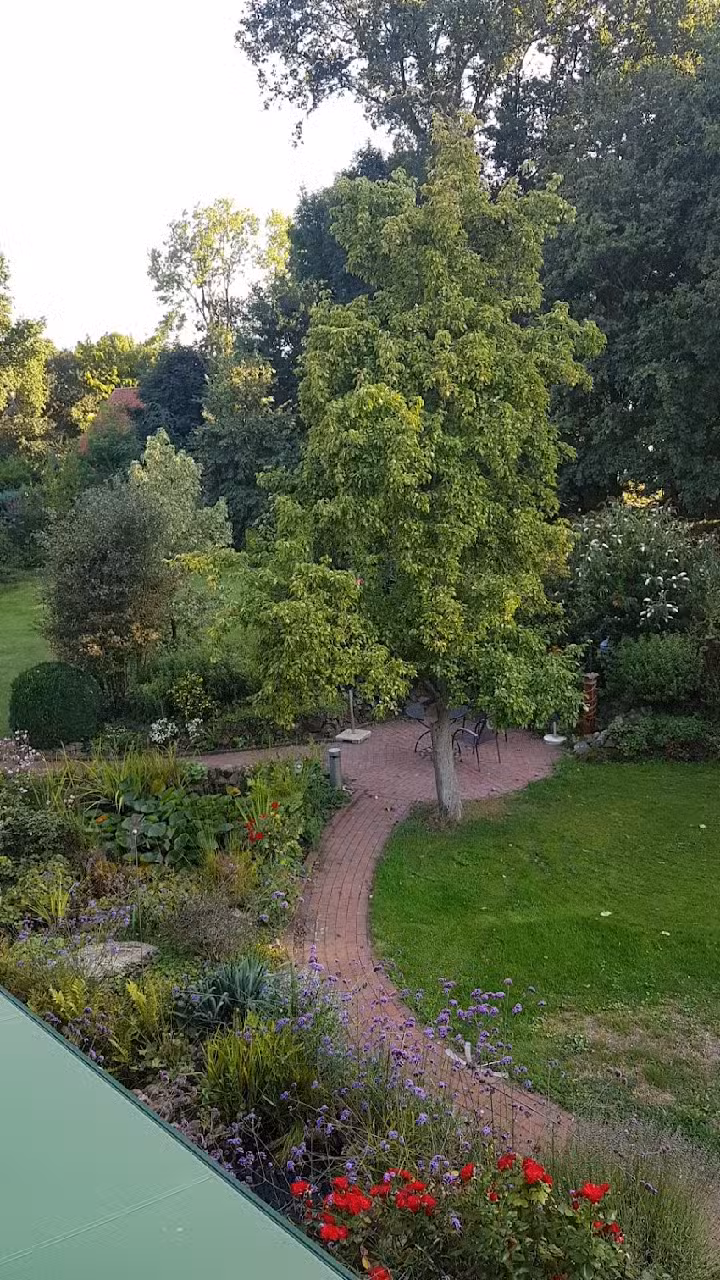 Ferienhäuser am Dümmer-See Michaela Köhr-Eickhoff