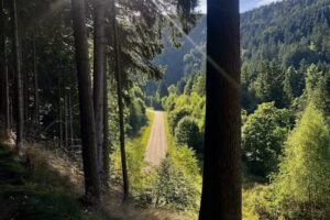 Ferienhäuser Am Waldschlößchen Eckhard Thieme