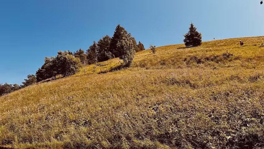 Ferienhäuser „Glück-Auf“,“Lärche“, „Kiefer“ – Anja & Michael Schreiber