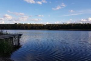 Ferienhäuser Seewiesen