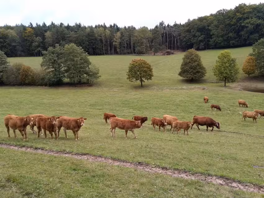 Ferienhäuser Siefertshof