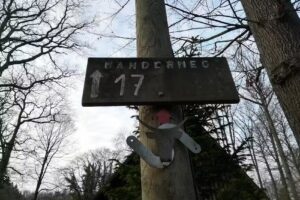 Ferienhäuser Waldhütten