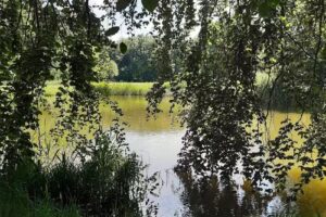 Ferienhauspark Sonnengarten Altefähr