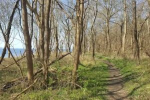 Ferienhausvermietung Frank Hubensack