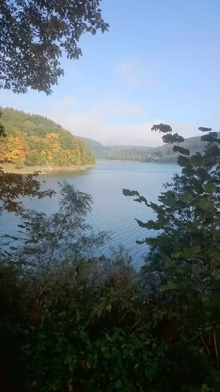 Ferienhausvermietung Henneseetraum
