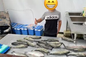 Ferienhof Stumpenser Mühle