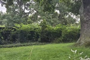 Ferienidyll am großen Wentowsee