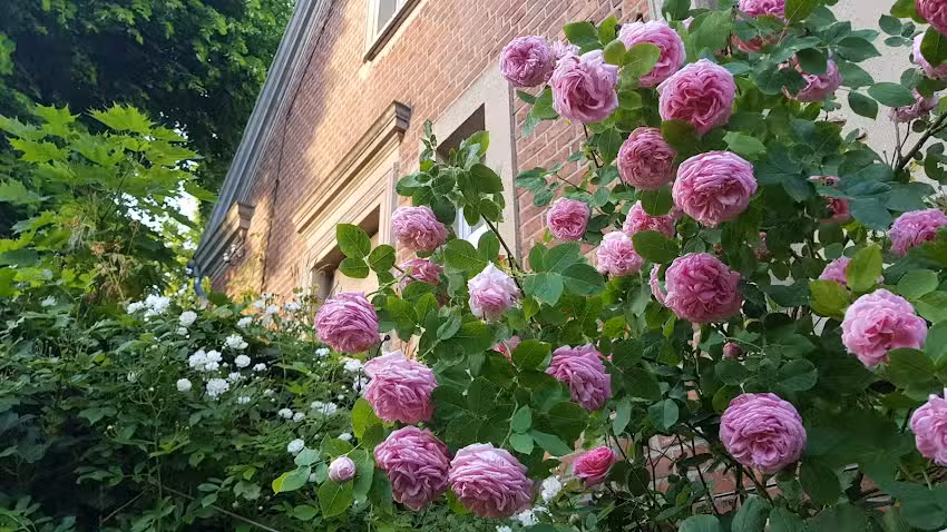 Ferienidyll Gutsinspektorhaus Vehlow