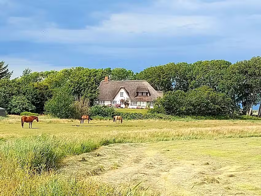 Ferienkate Kap Eiderstedt