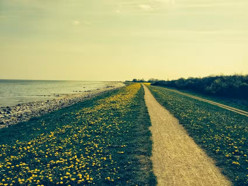 Ferienlandhaus-Steinfeld