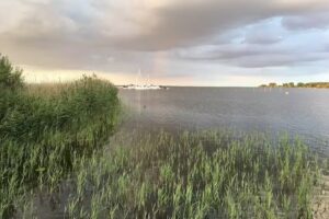 Ferienoase Tiepelmann