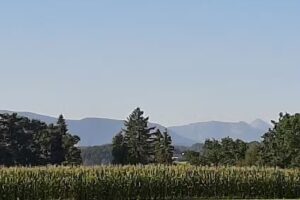 Ferienparadies Gut Horn