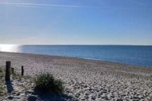 Ferienpark am Waldrand