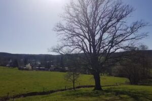 Ferienpark Hirschberg-Bache GmbH