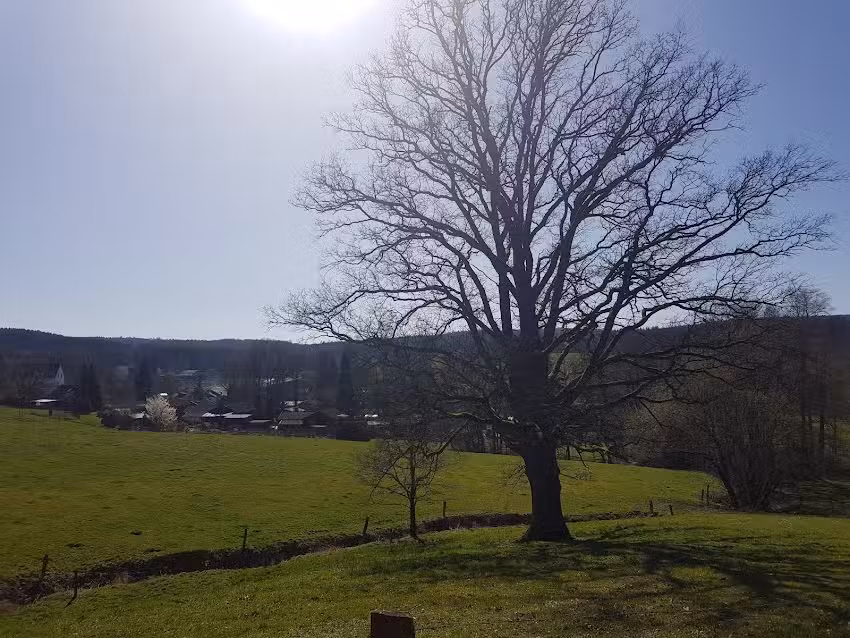 Ferienpark Hirschberg-Bache GmbH