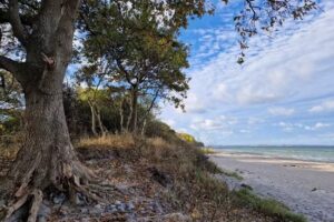 Ferienvermietung in Boltenhagen – BAIS GmbH