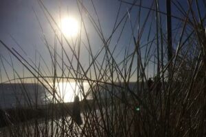 Ferienvermittlung Forthmann