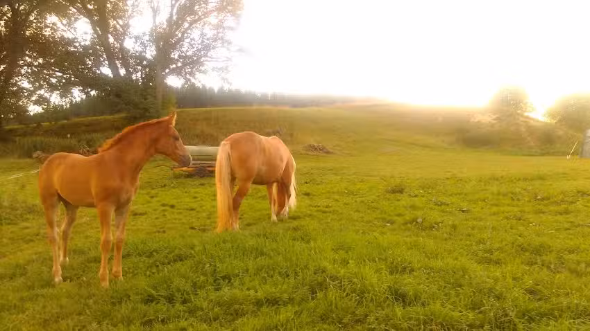 Ferienwohnumg & Zimmervermietung Rohrmoser Monika