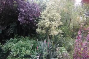 Ferienwohnung am Nussbaum