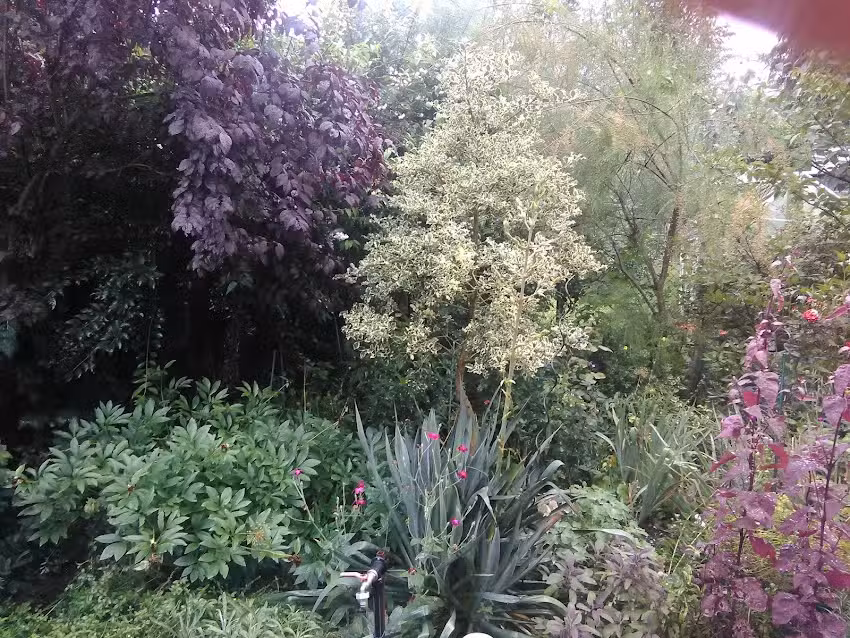 Ferienwohnung am Nussbaum