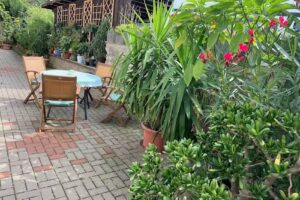 Ferienwohnung am Schlosspark