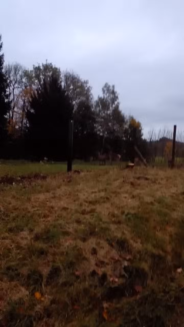 Ferienwohnung Andrea Eder