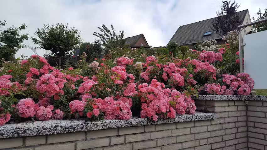 Ferienwohnung Annettes Rosengarten