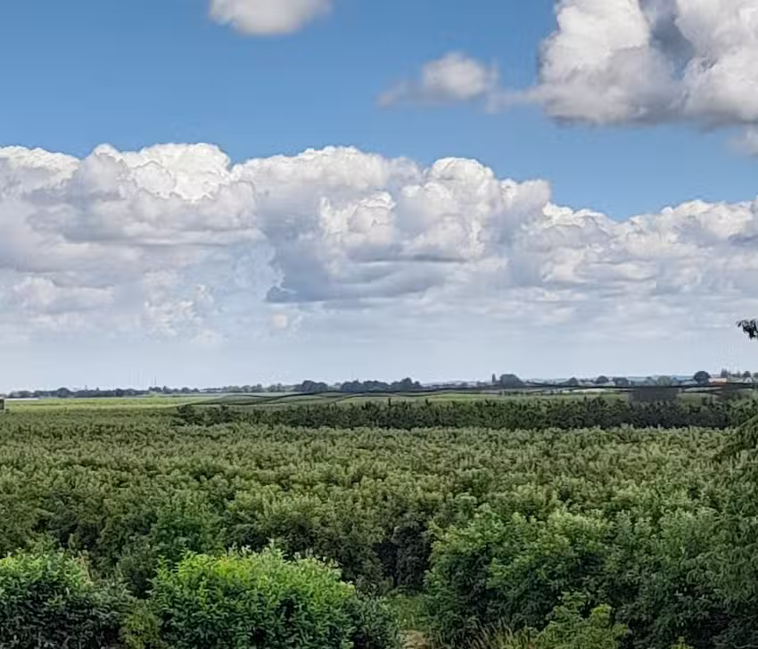Ferienwohnung Armhold | Urlaub unterm Reetdach