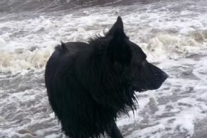 Ferienwohnung beim Leuchtturm