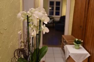 Ferienwohnung Domäne Süpplingenburg