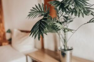 Ferienwohnung Drei Linden | Harz