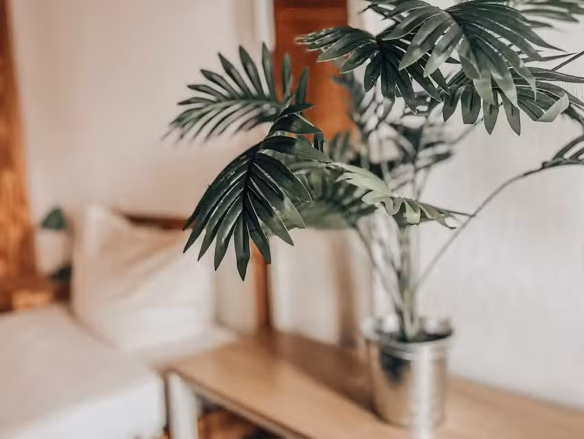 Ferienwohnung Drei Linden | Harz