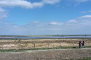 Ferienwohnung Fehmarn Freitag