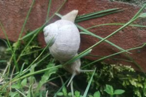 Ferienwohnung Gerdau