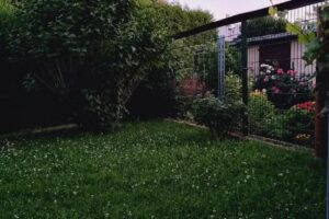 Ferienwohnung Gessert