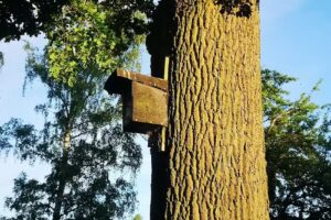 Ferienwohnung Gmeiner