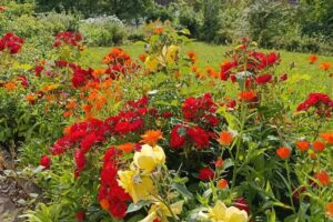 Ferienwohnung Haus Bergblick